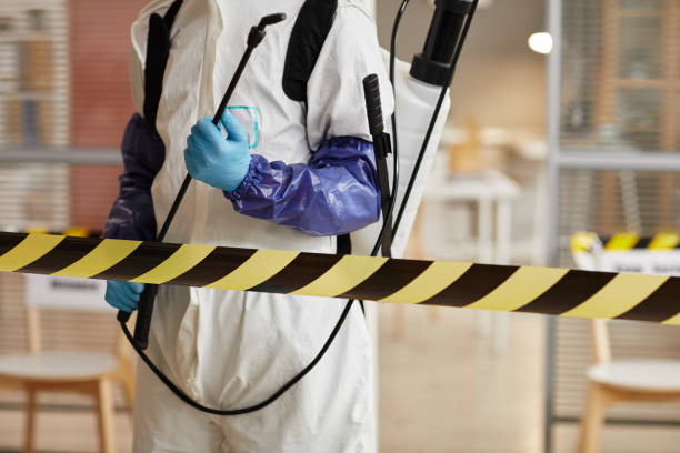 Professional Hoarding Cleanup technician working in Edgewood, TX